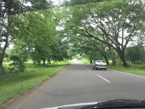 El Corocito Park