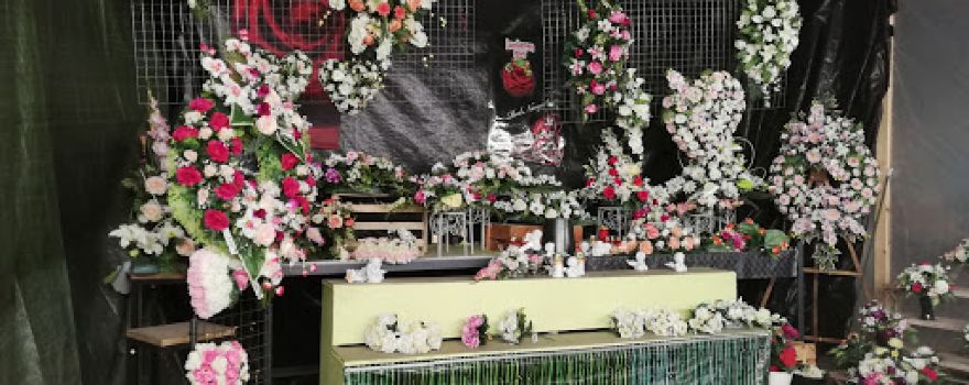 Defossez Philippe FLEURS