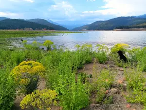 Coffee Creek Campground & RV Park