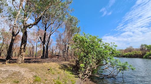 Djarradjin (Muirella Park) Campground