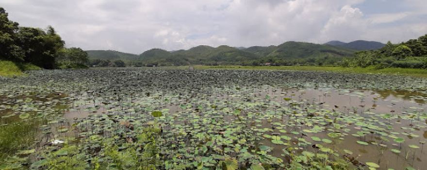 Hồ Bạch Thủy