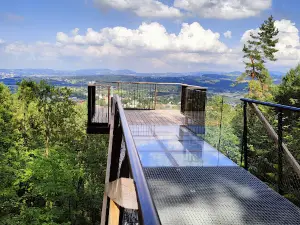 Forest pier