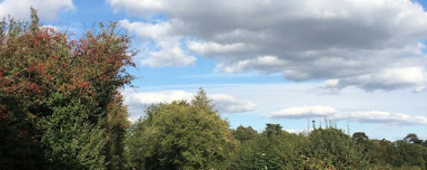 Ramsden Field