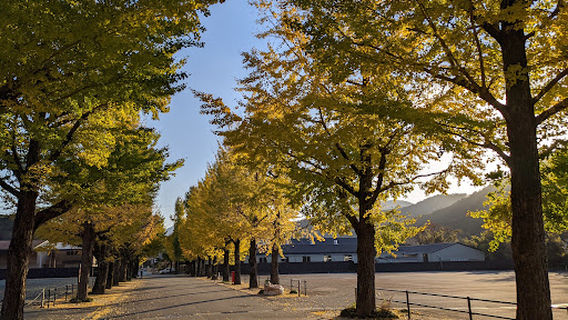 Isuzu Park