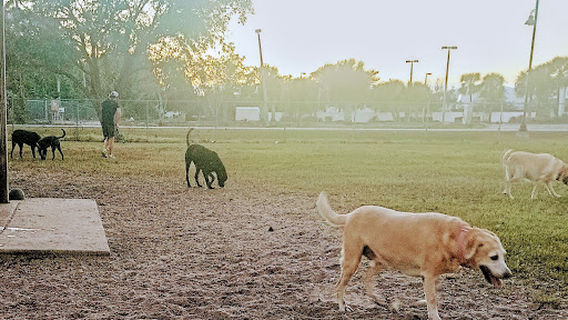 Edgewater Dog Park