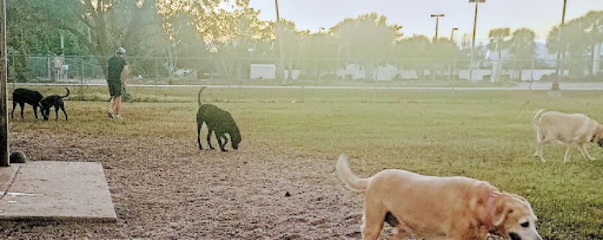 Edgewater Dog Park