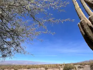 Quilmes Ruins access