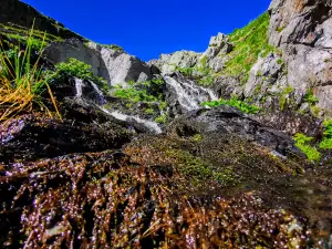 Cascada mică Capra