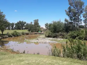 Newcastle Golf Club