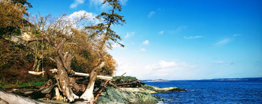 Agate Park and Beach Access