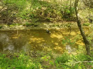 Feaster Park
