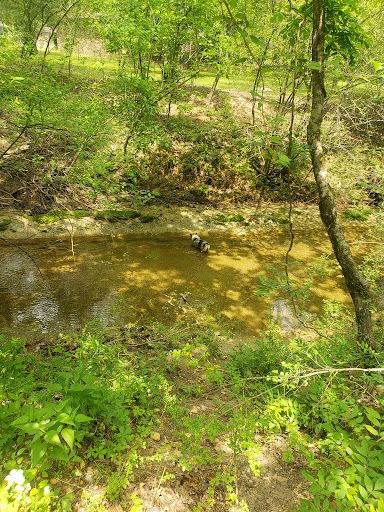 Feaster Park