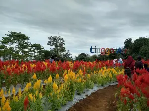 OBYEK WISATA LINGGOASRI