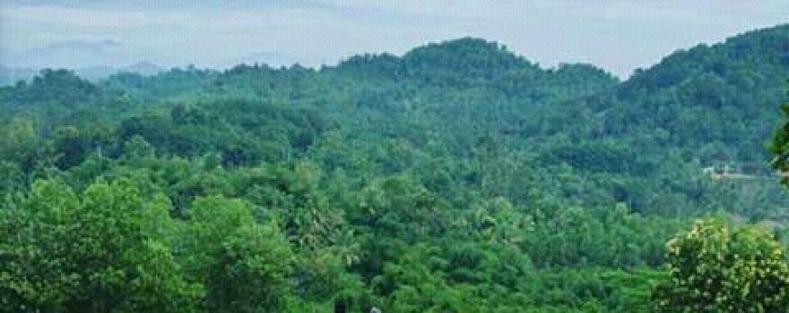 Wonderful Podomoro Star Hill