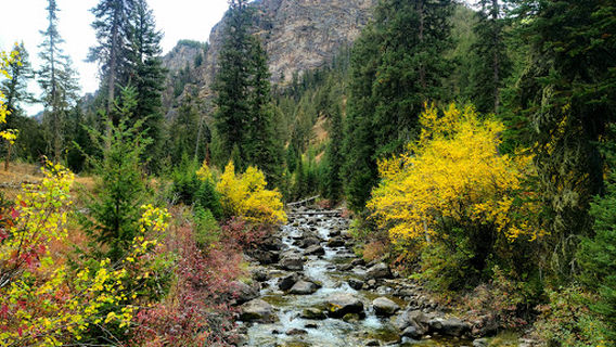 Bucking Mule Falls Trailhead