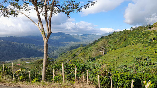 Parque Central de Santa María de Dota