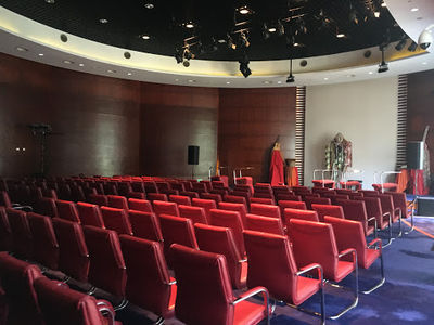 National Academy for the Performing Arts
