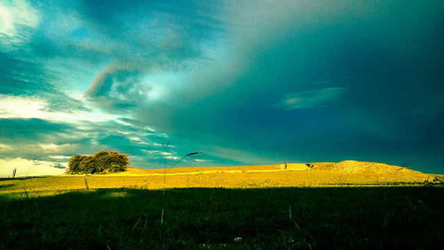 Padang savana Mamsena popekano