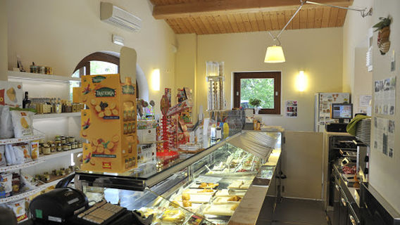 Assisi