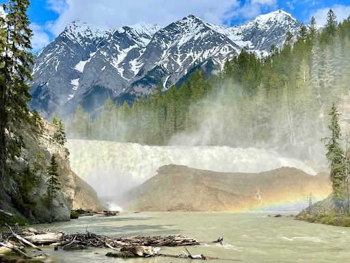 Wapta Falls Main Trail