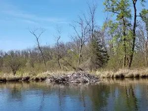Whaley's Resort & Campground
