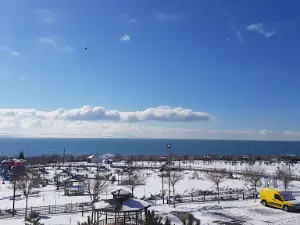 Park