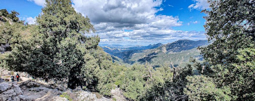PUNTO PANORAMICO Canyon Gorropu Urzulei Bidiculai