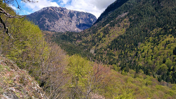 The Cave of St. Ivan Rilski