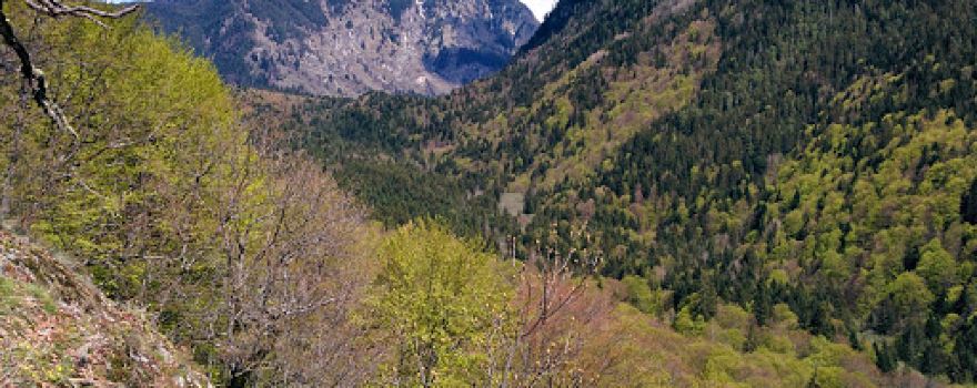 The Cave of St. Ivan Rilski