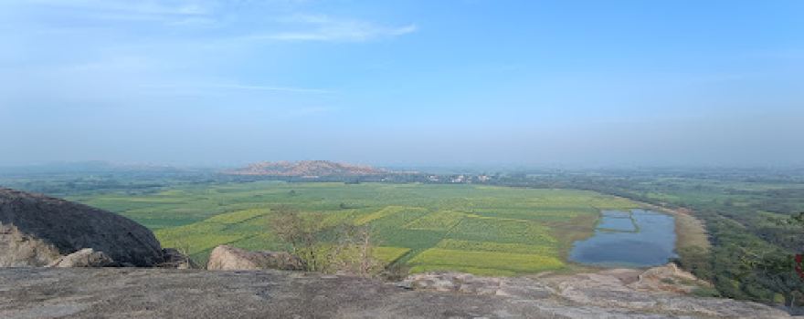 Sagauli dham ,,sagauli sarkar