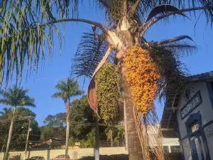 Pedro Leopoldo Train Station