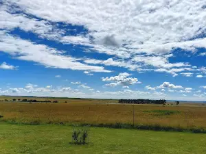 Nature's Pride