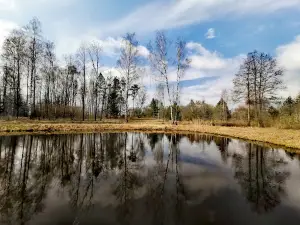Grybų dvaras