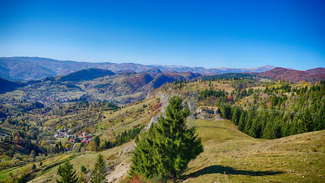 Oratia Viewing Point