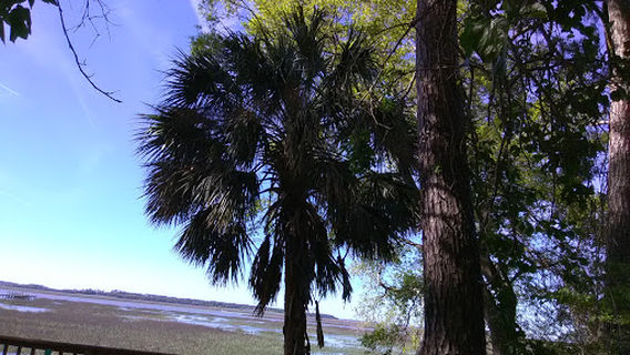 Lenora Park