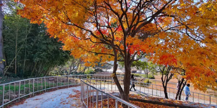 全羅南道農業博物館