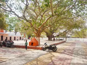 Shree आवलिया बाबा Temple