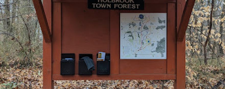 Holbrook Town Forest