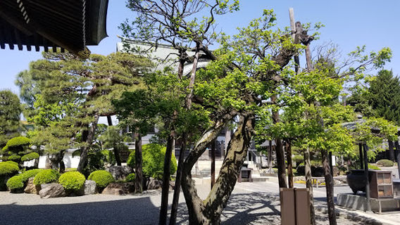 Enpukuji