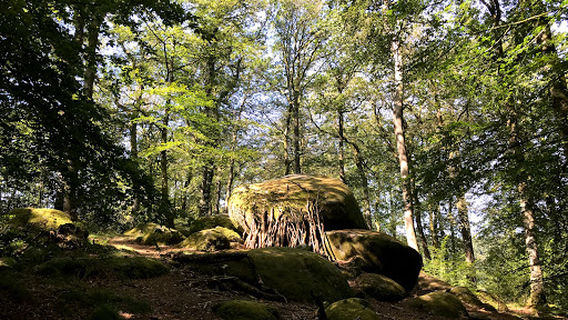 Sentier découverte de Chabrières