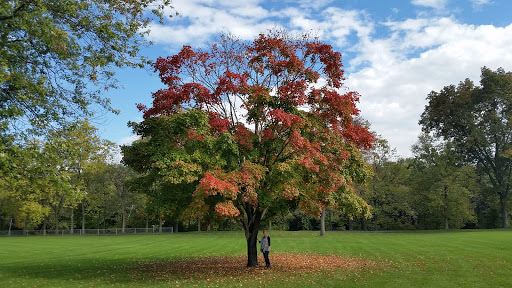 North Middleton Park