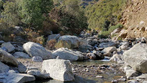 Reserva Florofaunistica de Rincón del Este, Merlo, San Luis
