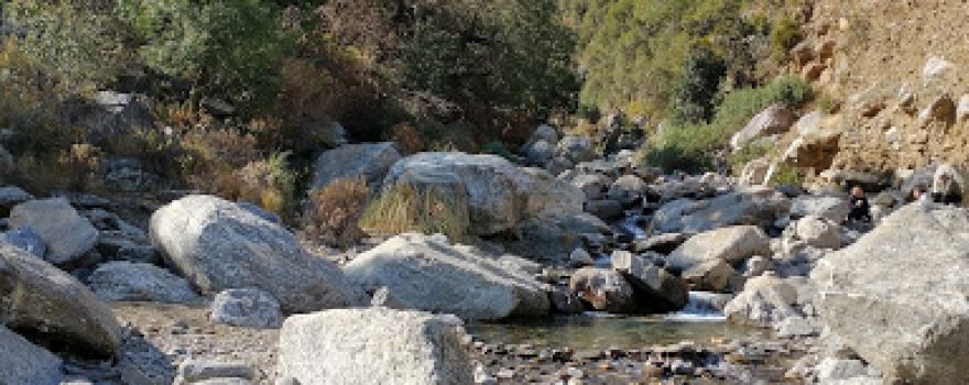 Reserva Florofaunistica de Rincón del Este, Merlo, San Luis