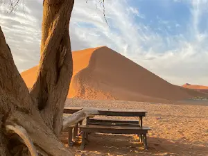 Dunes Viewpoint