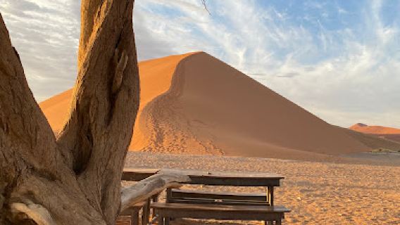 Dunes Viewpoint