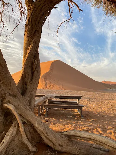 Dunes Viewpoint