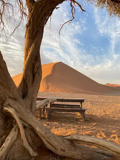 Dunes Viewpoint