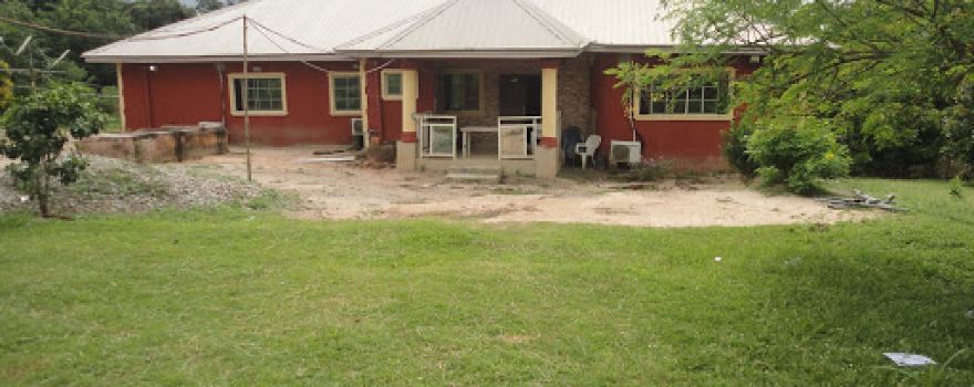 Onogie of Idoa Palace