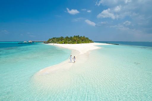 The Nautilus Beach