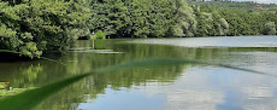 Etang fédéral de Maron-Chaligny